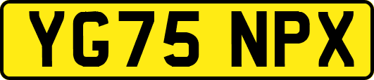 YG75NPX
