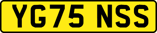 YG75NSS