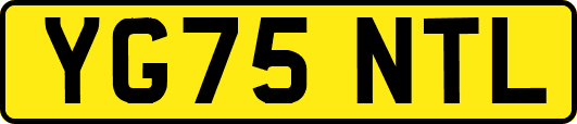 YG75NTL