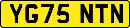 YG75NTN
