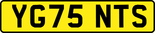 YG75NTS