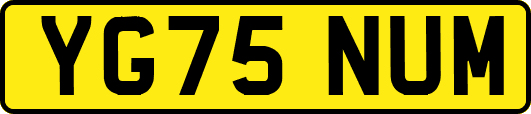 YG75NUM