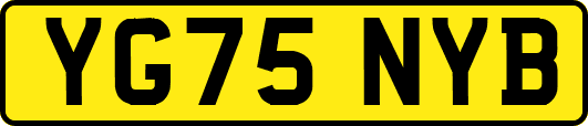 YG75NYB