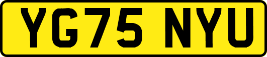 YG75NYU