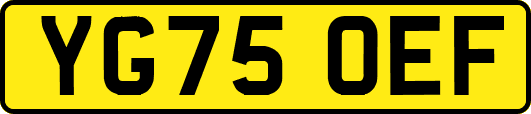 YG75OEF