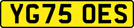YG75OES