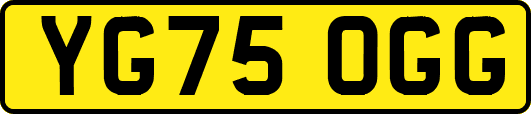 YG75OGG