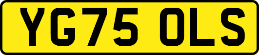 YG75OLS