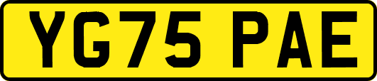 YG75PAE