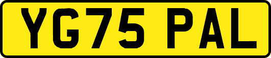 YG75PAL