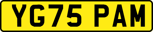 YG75PAM