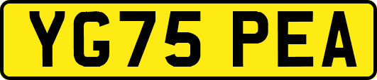 YG75PEA