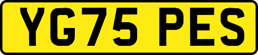 YG75PES