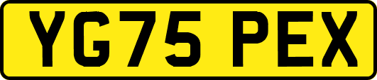 YG75PEX