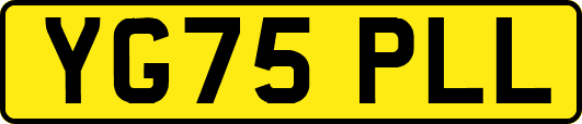 YG75PLL