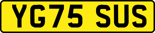 YG75SUS