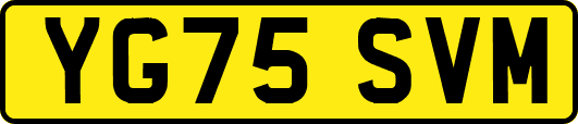 YG75SVM
