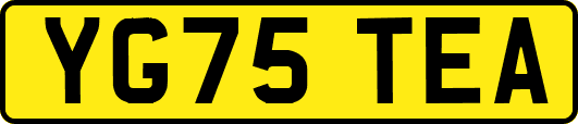 YG75TEA