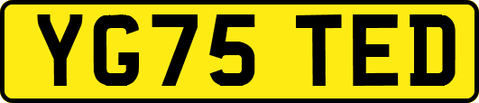 YG75TED