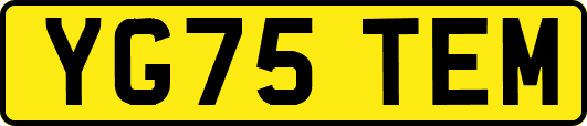 YG75TEM