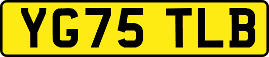 YG75TLB