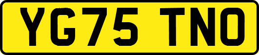 YG75TNO