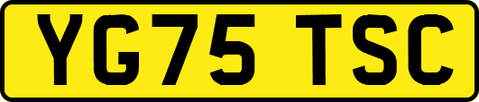 YG75TSC