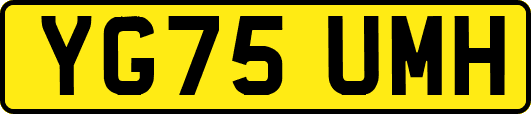 YG75UMH