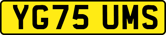 YG75UMS