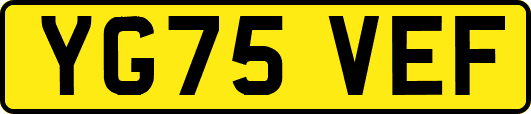 YG75VEF