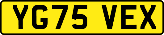 YG75VEX