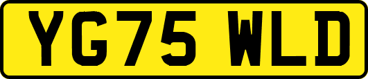 YG75WLD