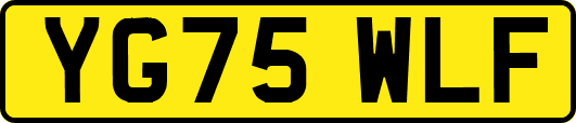 YG75WLF