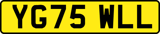 YG75WLL