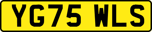 YG75WLS