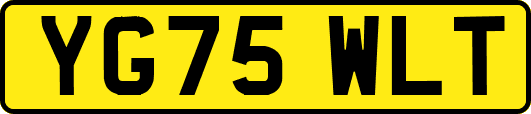 YG75WLT