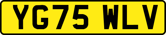 YG75WLV
