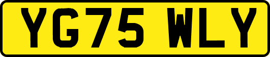 YG75WLY