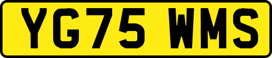 YG75WMS