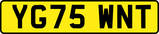 YG75WNT