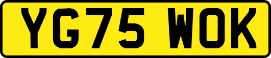 YG75WOK