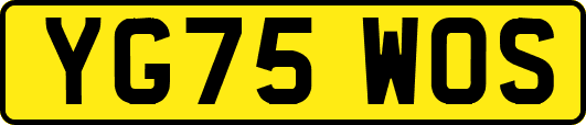 YG75WOS