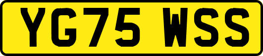 YG75WSS