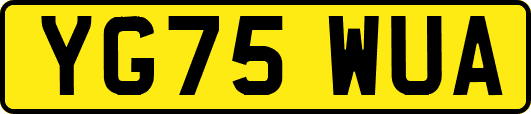 YG75WUA