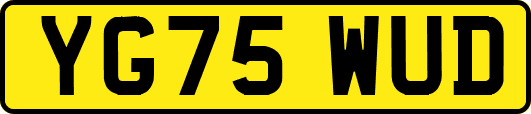 YG75WUD