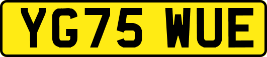 YG75WUE