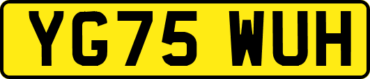 YG75WUH