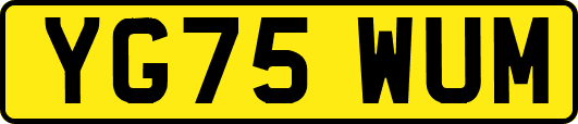 YG75WUM