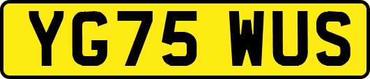 YG75WUS