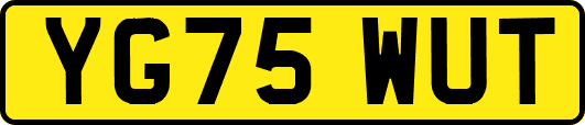 YG75WUT